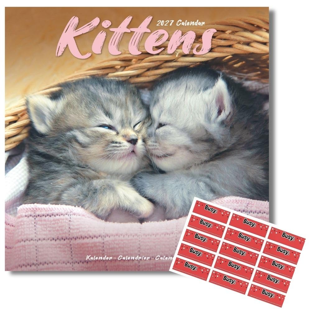 Avonside Kittens 2027 Calendar with Organisational Stickers, 16 Month Square Wall Calendar (Sept 2026 - Dec 2027), UK Planner with Kittens, For Cat Lovers, Home or Office, 11.6 x 11.6 in