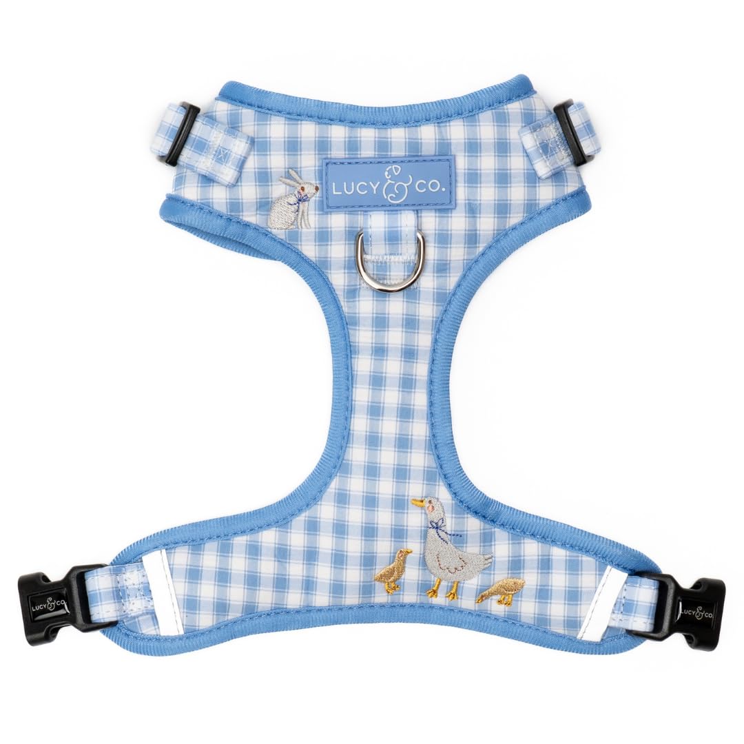 Lucy & Co. Silly Goose No-Pull Dog Harness, Adjustable Front Clip Harness with Comfort Padding, X-Small โ image 1