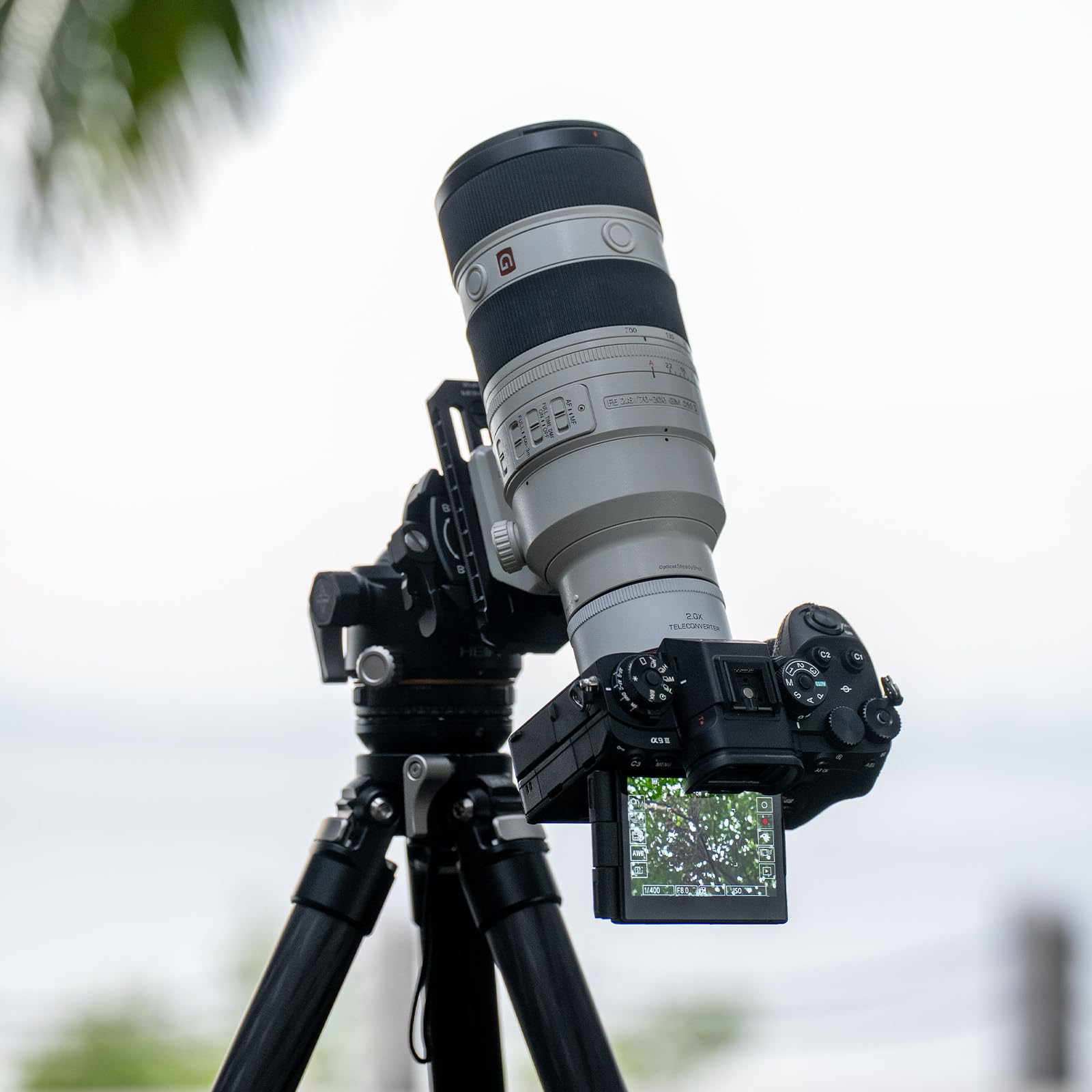 Viltrox TC-2.0X Teleconverter per Sony, teleobiettivo con autofocus, compatibile con fotocamere Sony E-Mount SEL70-200GM, SEL100-400GM e SEL200-600G