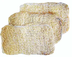 STAR SUNLITE Wood and Wool Pad for Air Cooler (20 x 12 Inches), Brown