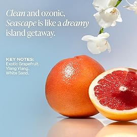 Saltair Body Wash, Seascape 2-Pack. Moisturizing Body Cleanser with Monoi Oil and Cupuacu Butter. Luxury Shower Gel for Women and Men. Vegan, Cruelty-Free, Paraben-Free. 2x 17oz Pump Bottles