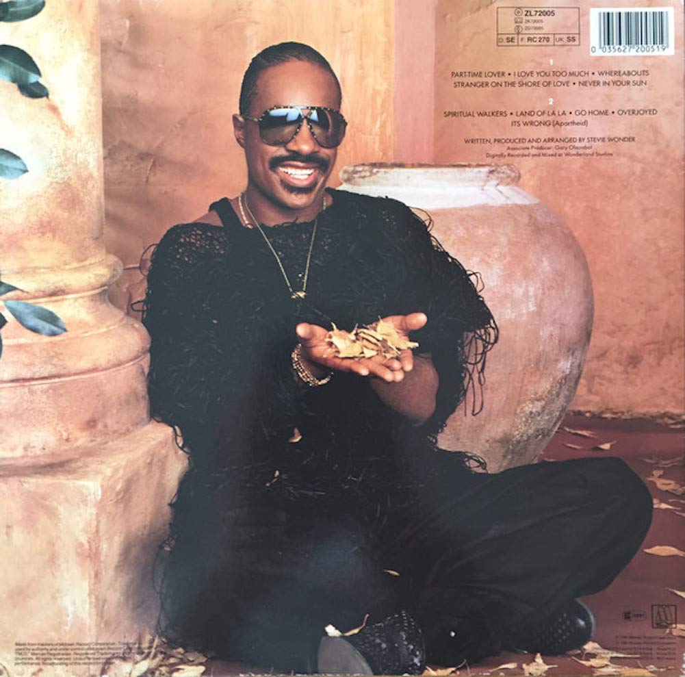 Stevie Wonder In Square Circle
