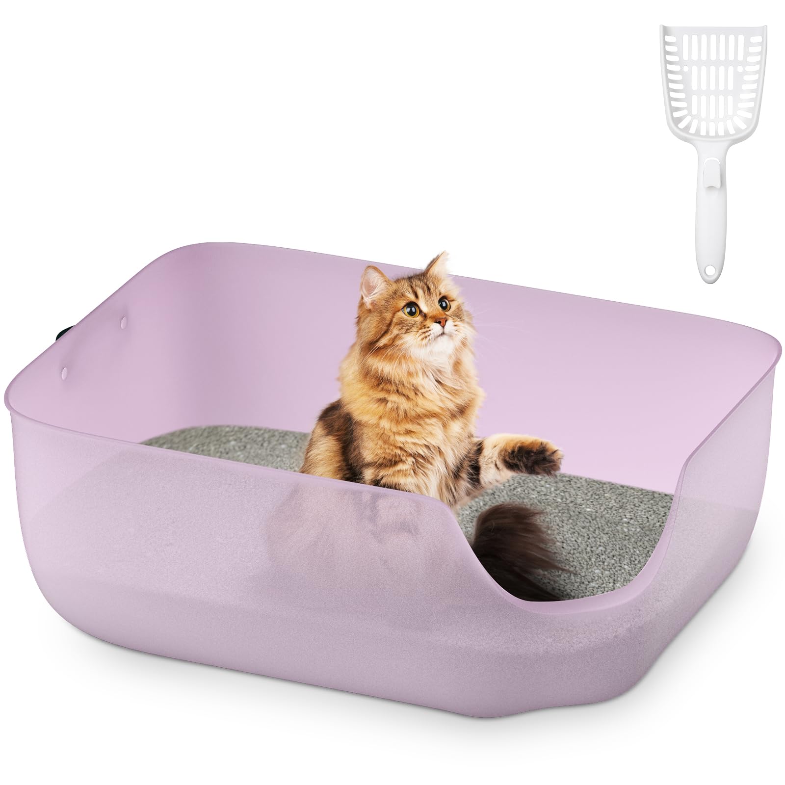 Katzentoilette, 56L x 42B x 22H cm Katzenklo mit Hohem Rand, Für Kleine und Mittelgroße Katzen, Katzentoilette mit Leder-Seitengriff & Streuschaufel, Transparentes Lila