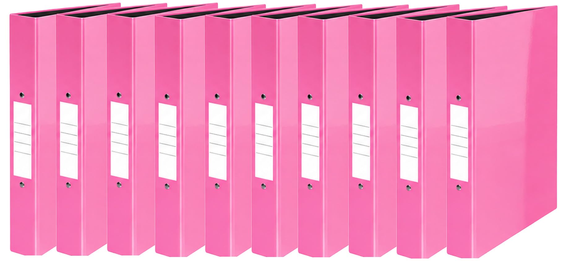 Nobel 25mm 2 Ring Polypropylene Gloss Binder A4 (10, Gloss Pink)