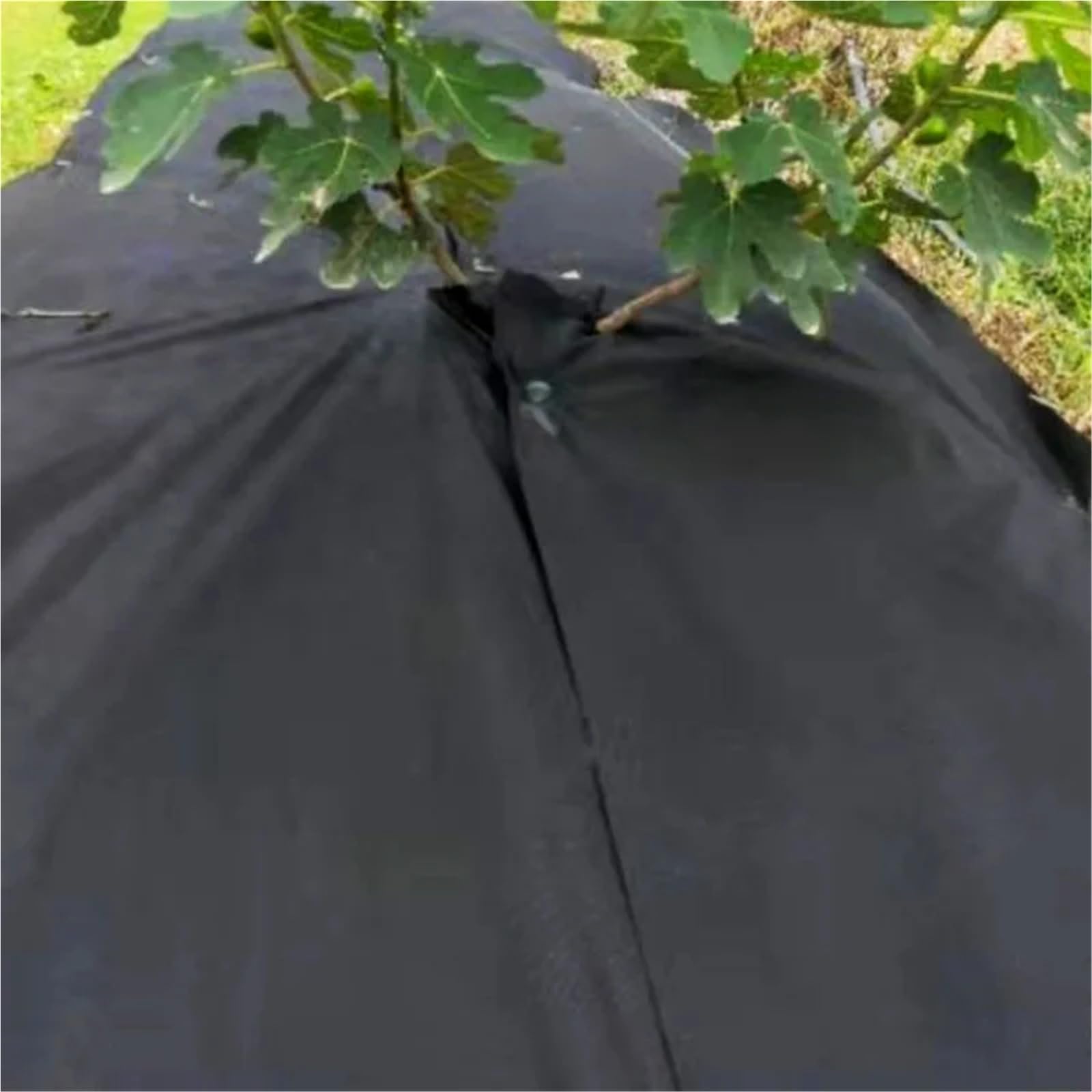 Telo Pacciamatura Tessuto Non Tessuto Nero Geotessile Traspirante Anti-età Giardinaggio Panno Anti-Erbacce Diserbo(50cm x 10m)
