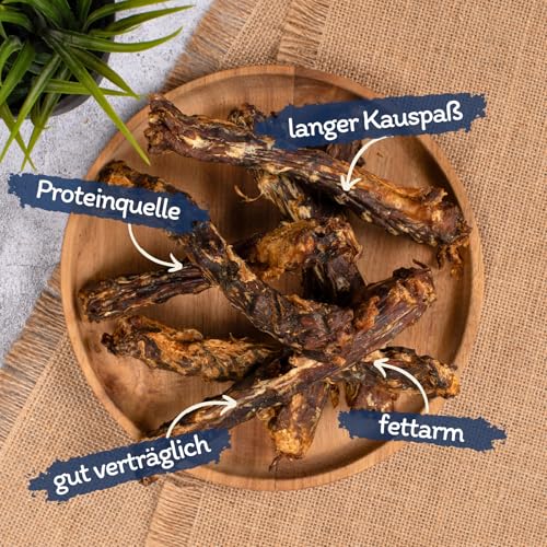 Lyra Pet® 1 kg Entenhälse naturbelassen | Fettarmer Kausnack | Proteinhaltiges Leckerli für alle Hunde | Gut verträglich | Getrockneter Kauartikel | 100% Natur | Reich an Kalzium & Proteinen