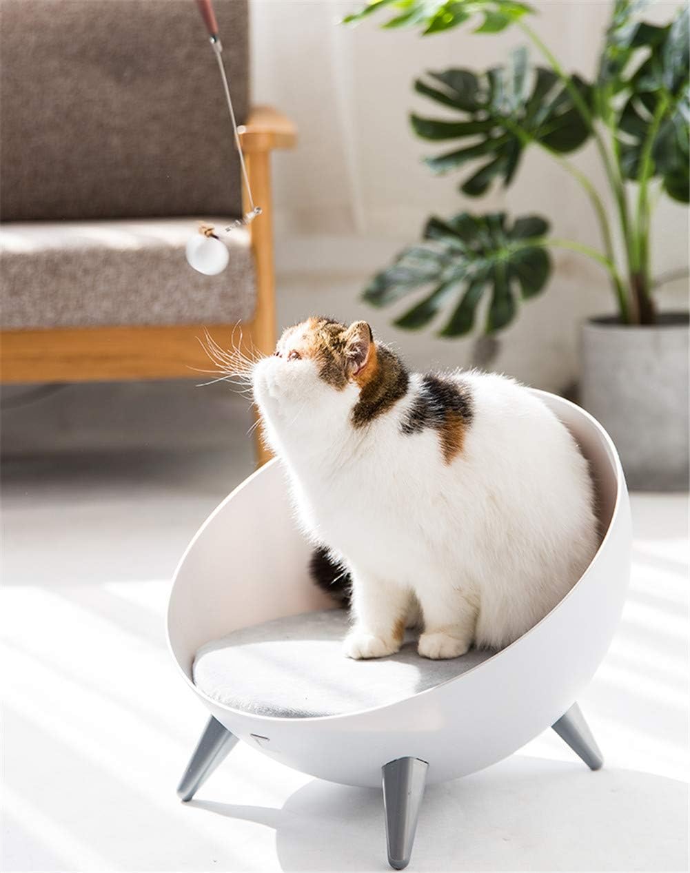 オープニング大放出セール 半球型の猫の巣猫ハウスペットアパートは