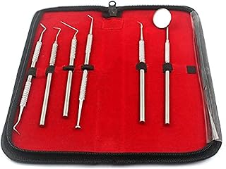 Professional Dental Hygiene KIT by PRECISE CANADA | 6 Peice Stainless Steel Instruments Including TARTER Scraper Scaler Remover Tool,Dental Pick, Probe, Anti-Fog Teeth Mirror, Burnisher, PET Friendly