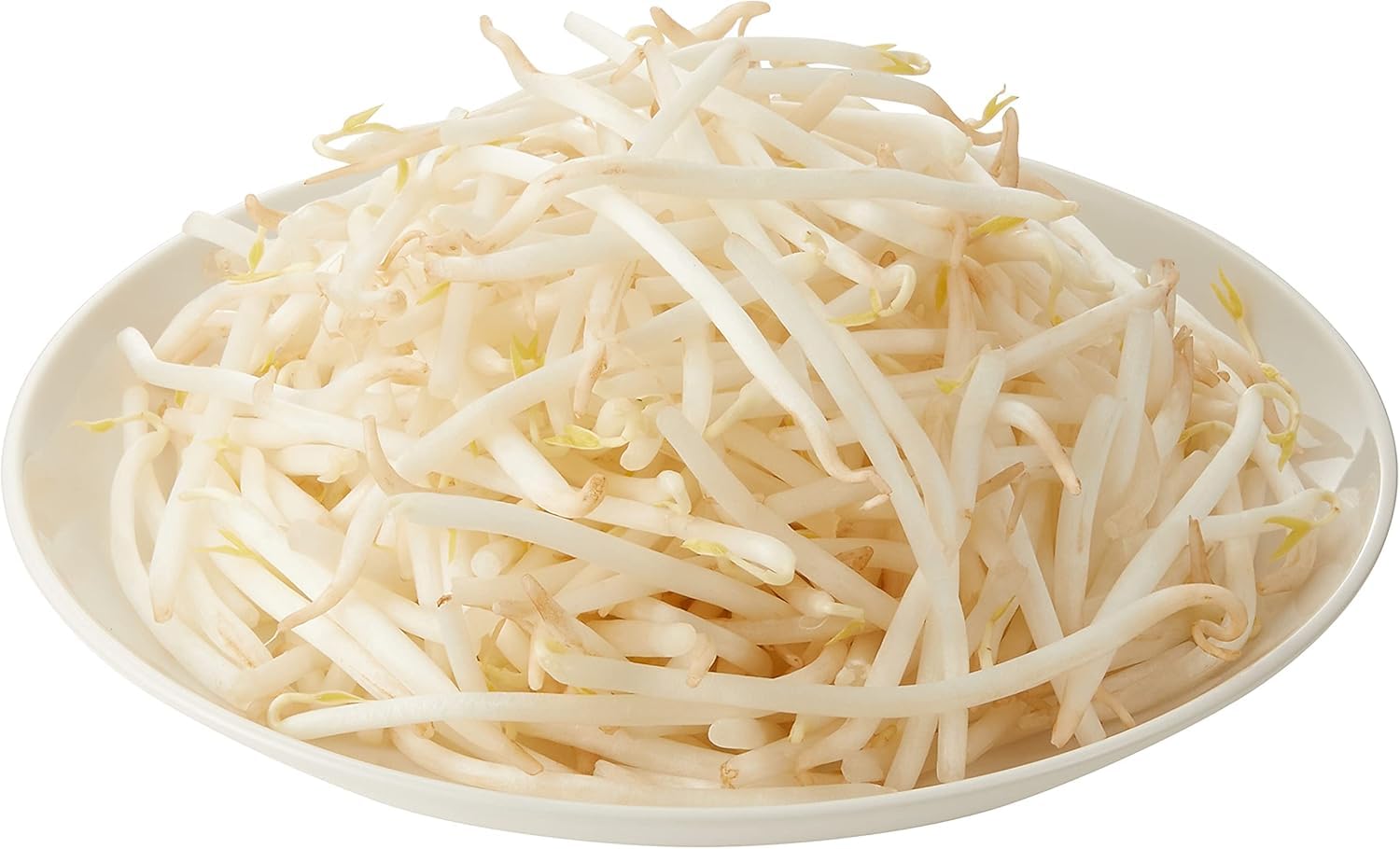 Amazon.co.jp: ミヤジフーズ 国内産 緑豆もやし 1.0kgパック【消費期限