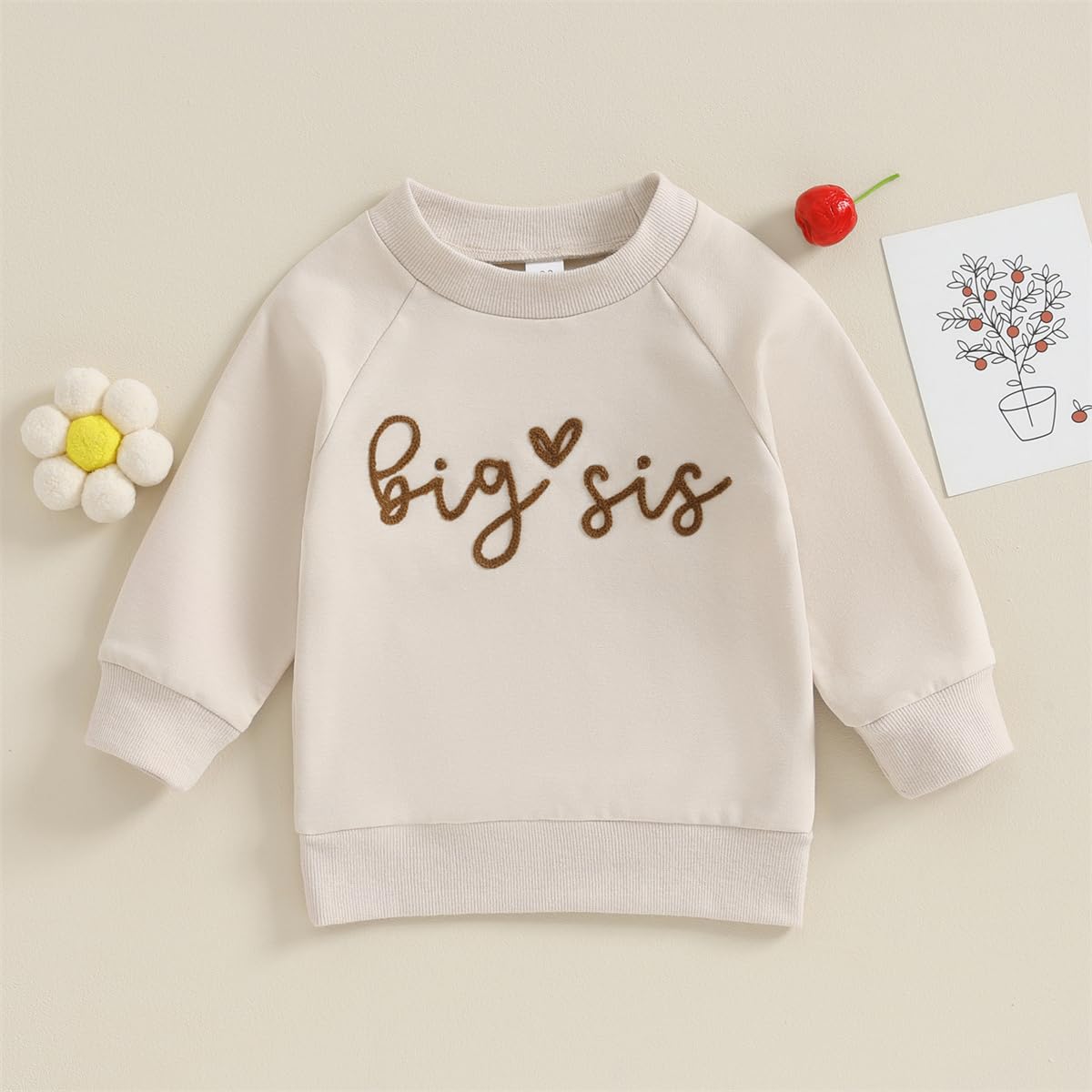Baby Girl/Boy Winter Clothes Fall Infant Onesie Sweatshirt Romper Sister Brother Newborn Matching Outfit Sets (Bigger Sister Toddler Shirts,18-24 Months)
