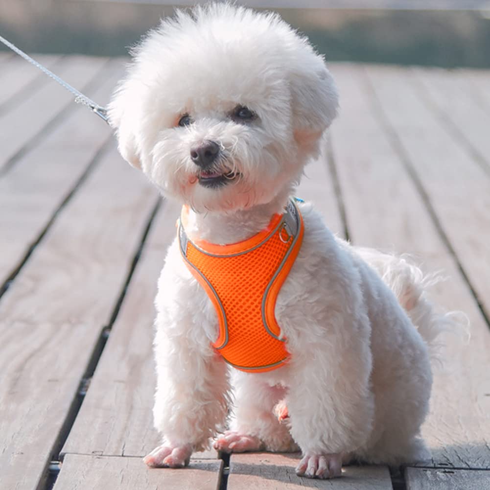 Amazon | PET ペット用ハーネス＆リードセット 犬 猫 胴輪 反射光 