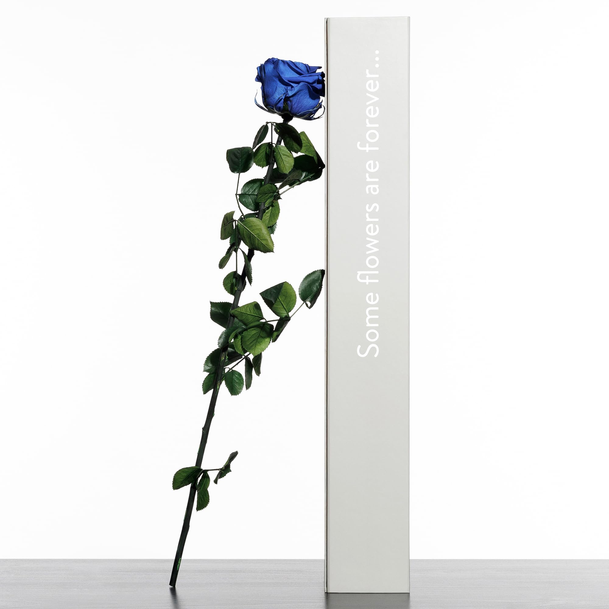 Rosa eterna preservada azul oscuro en caja de regalo para decoración elegante de bodas.