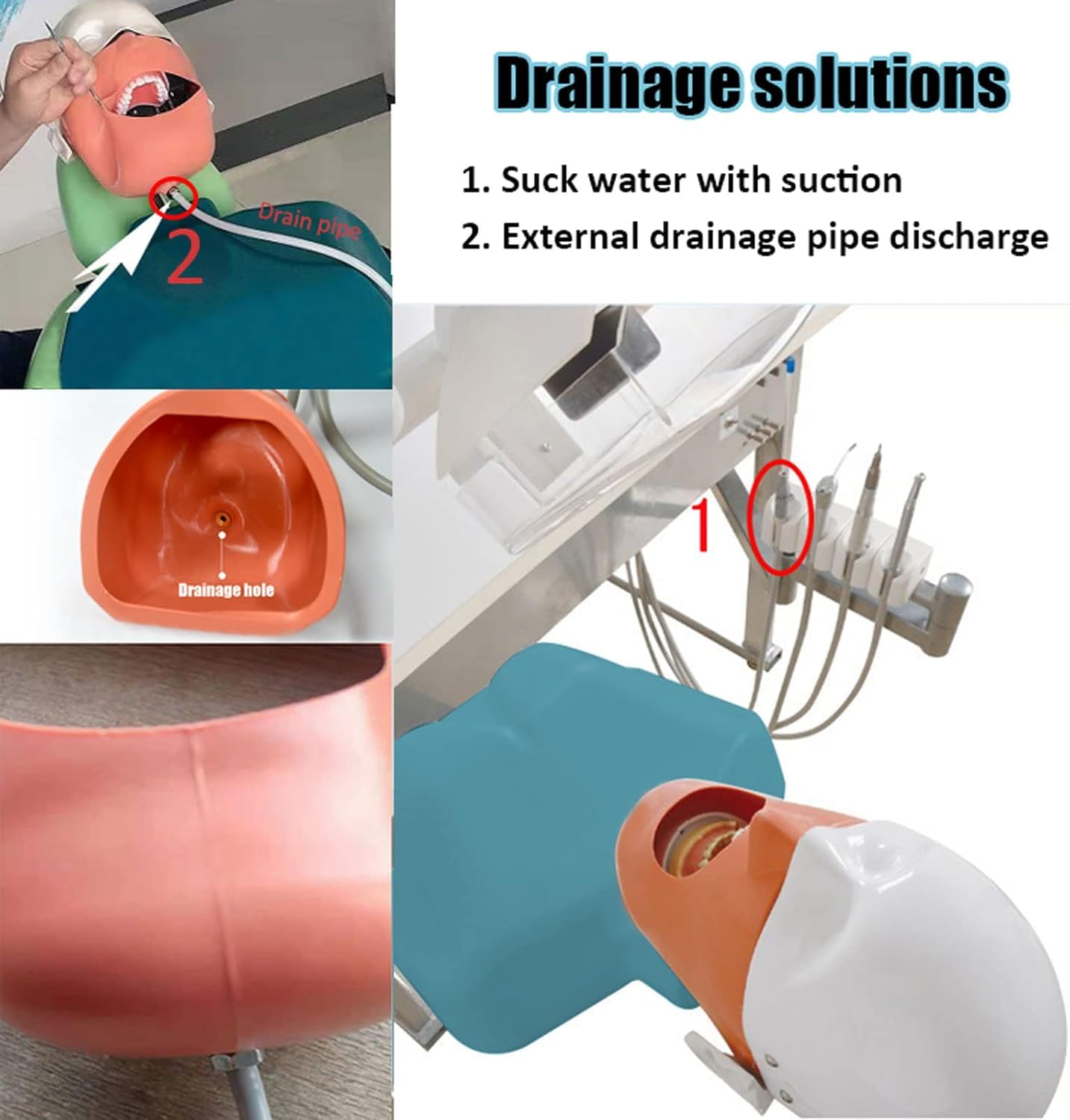 Dental Phantom Head Model, Dental Simor Head Model Puppe Mit Torso Und Herausnehmbaren Zähnen, Dental Teaching Aids Modell Für Einfache Menschliche Nackenbewegung, B