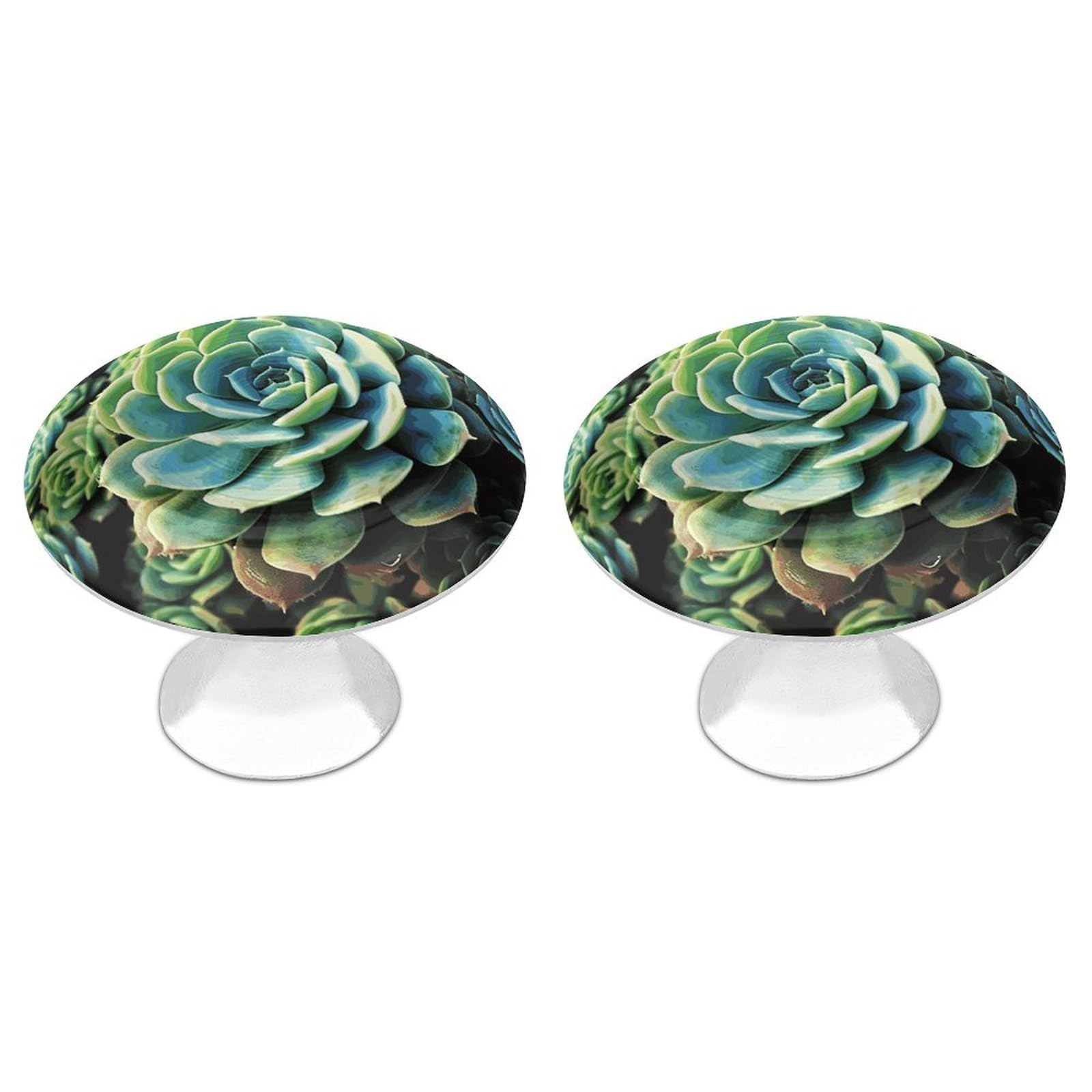 FekiLoot Succulent Plants Cabinet Knob 2 Pack Mini Round Drawer Pulls Stainless Steel Dresser Drawer Knobs Kitchen Drawer Hardware for Bathroom Dresser Closet Door Knobs