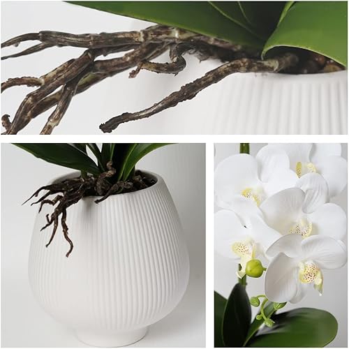 Miniatura 4 de Orquídeas artificiales con florero, plantas de Phalaenopsis blanca, arreglos de flores artificiales de seda, arreglos florales falsos para