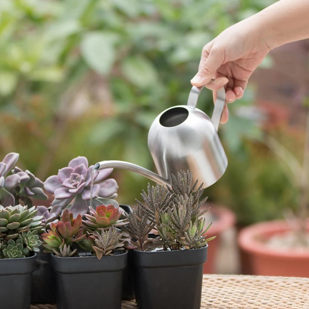 Gießkannen 500 ml Edelstahl-Tropfgießkanne, Gartenblumen-Wasserflasche for präzises Pflanzenbewässerungswerkzeug