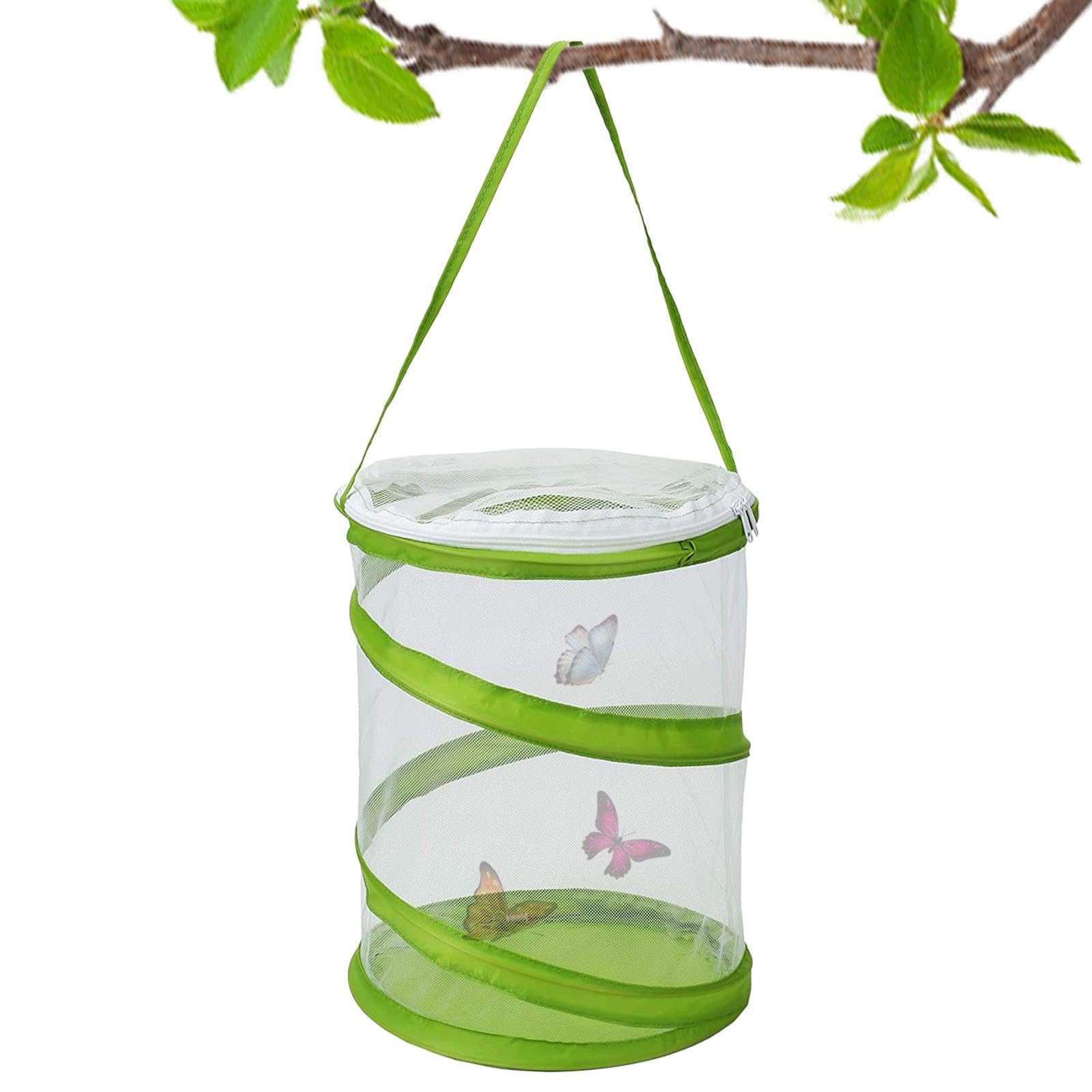 Gabbia per habitat a forma di farfalla 16 x 20 cm rete pop-up pieghevole cattura trasparente educazione scientifica allevamento osservazione