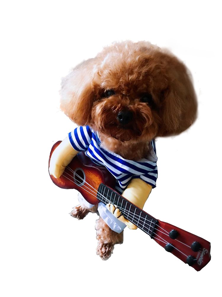 DELIFUR Dog Guitar Costume Dog Halloween Costumes Cat Halloween Christmas Cosplay Party Funny Outfit Clothes(XL)