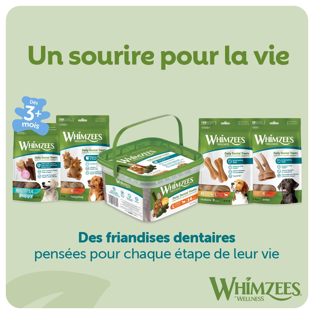 WHIMZEES Hérisson L, 6 Pièces – Taille L, Friandises pour Chiens de Grande Taille, Naturelles & sans Céréale, Végétariennes, sans Sucre Ajouté