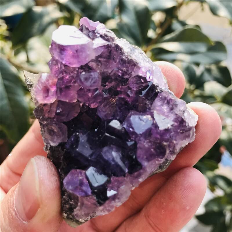 Amazon.co.jp: 天然水晶原石アメジスト結晶天然アメジストクォーツ標本