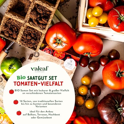 Amazon.de: valeaf: Samen Sets