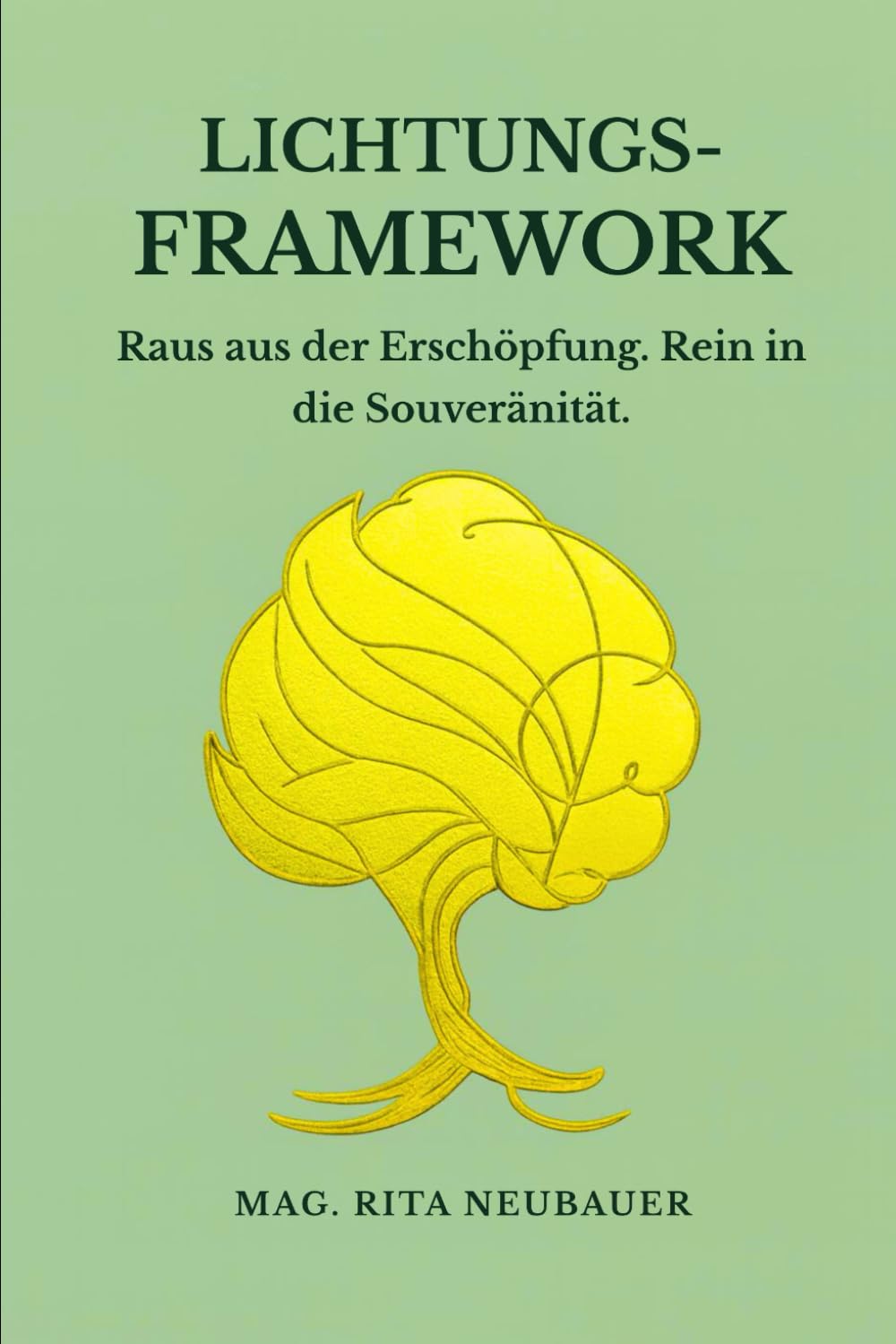 Lichtungs-Framework: Raus aus der Erschöpfung. Rein in die Souveränität: Ein psychologisch fundiertes Konzept zum Grenzen setzen