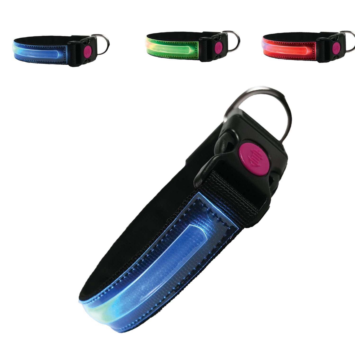 PETTY LED Dog Collar - Rechargeable USB Collar with Buckle Closure and Safety Button for Small Medium, and Large Dogs (XS Blue)