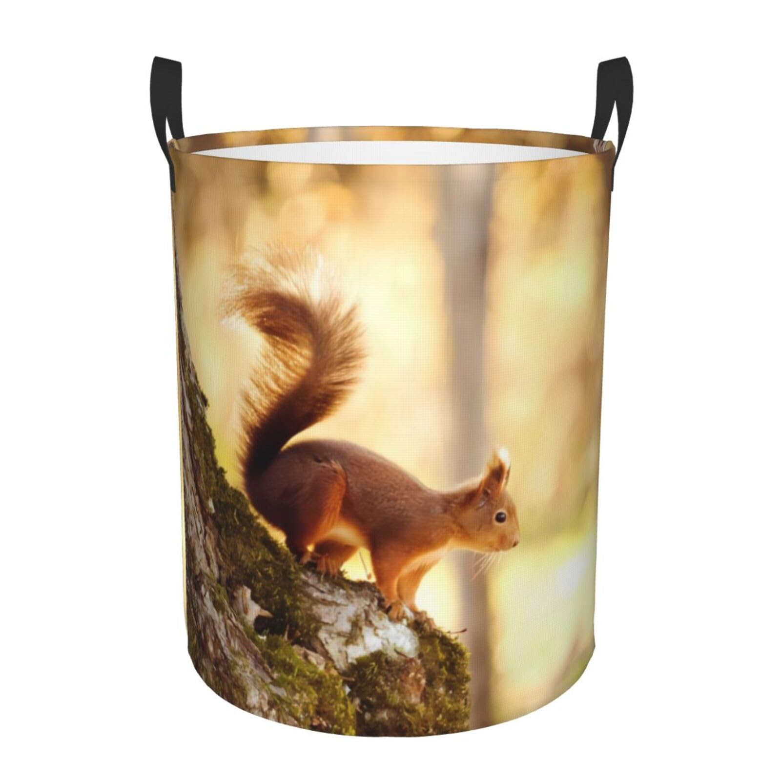 S Circular Hamper Funny Squirrel Print Storage Basket for Home