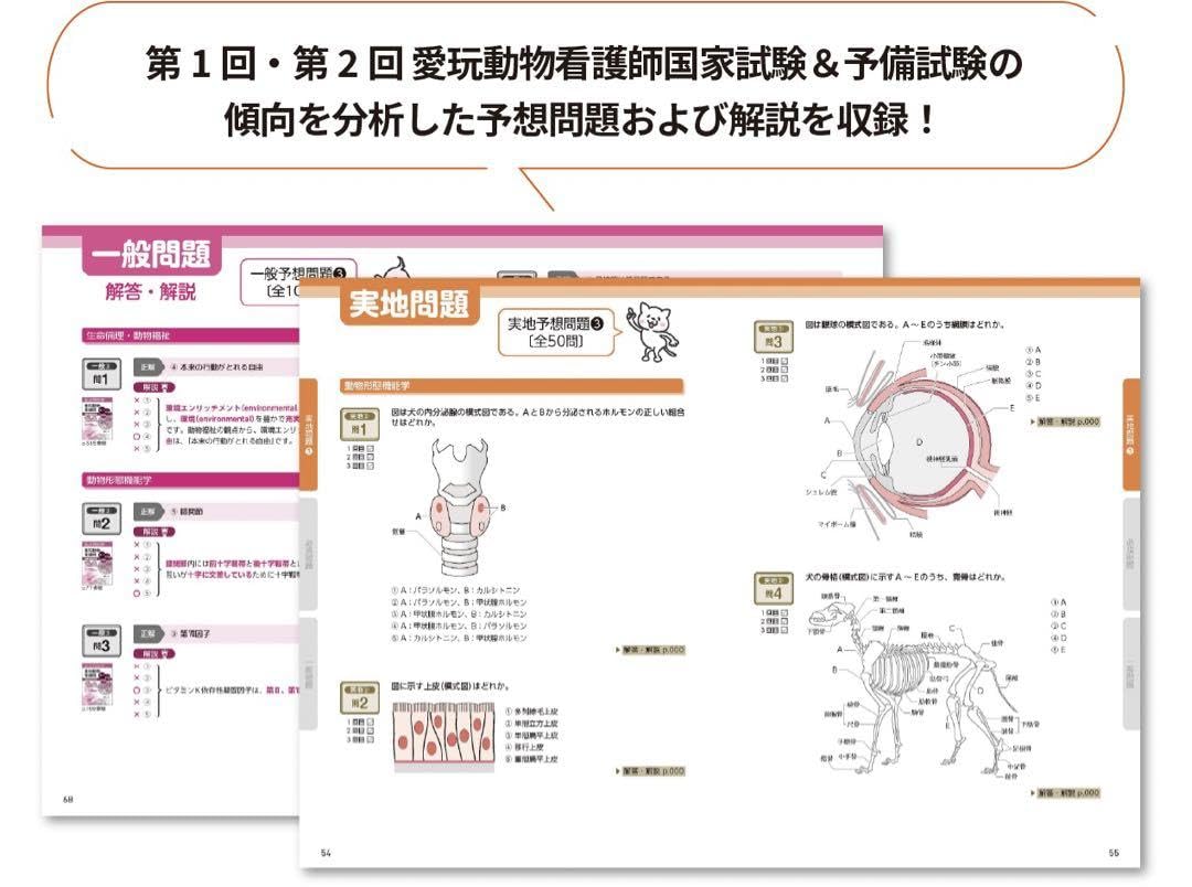 Amazon.co.jp: 愛玩動物看護師 国家試験 完全対策問題集 2025