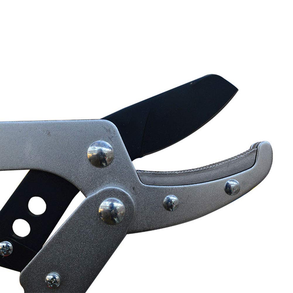 NANANA Amboss-Astschere - Ausziehbarer Rasiermesser-Astschere-Astschere - Teleskop-Aluminium Leichter Griff Gartenhecken-Astschere