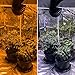 Chroma Clip HPS - The First Grow Room Photo Filter for Your Phone