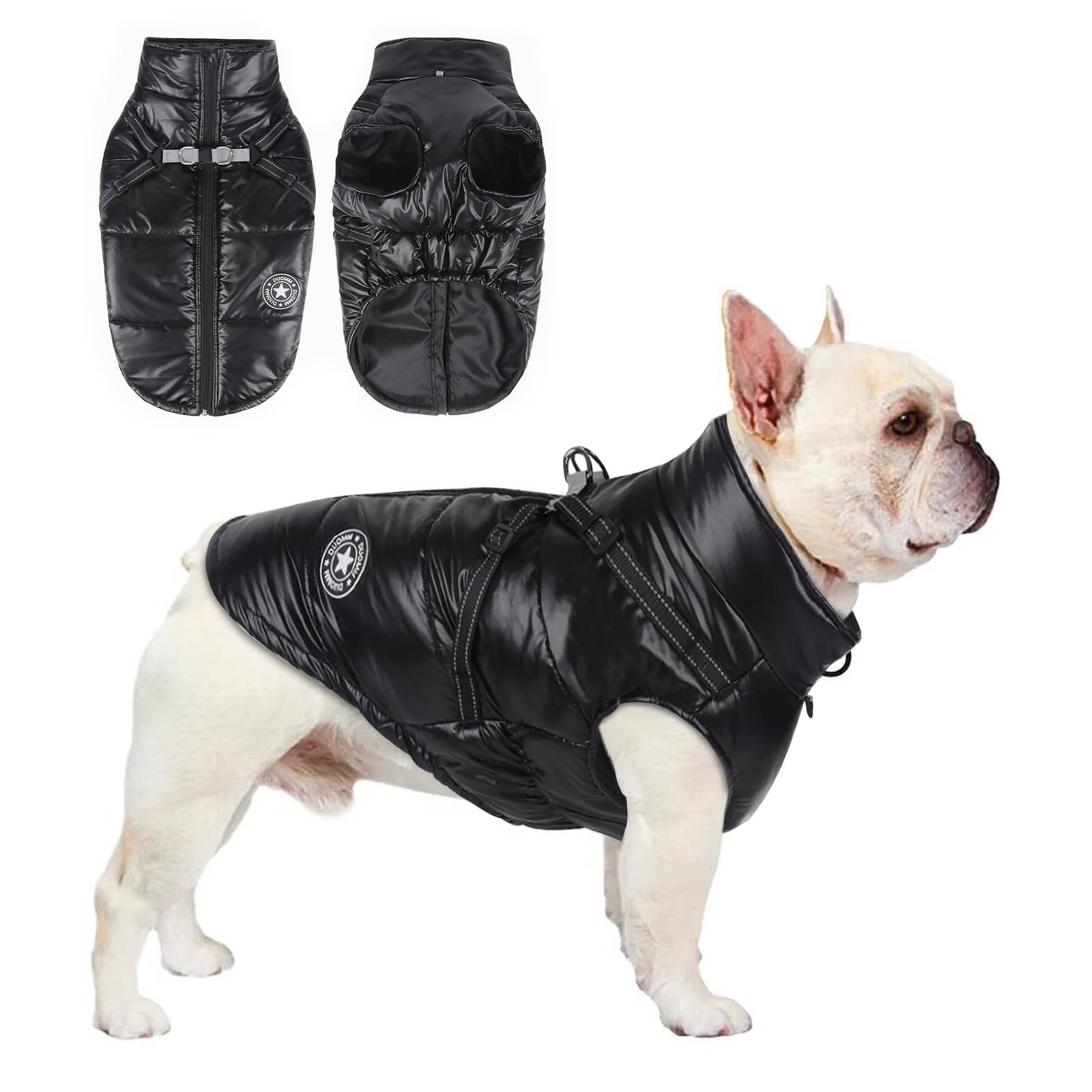 Jortmrd Abrigo Impermeable Perro Pequeño Abrigos Invierno Perro Chaqueta Ropa con Arnés Ajustable y Reflector Ropa para Perros Mascotas Cálida Ropa para Ropa Perros Pequeño (M, Negro)
