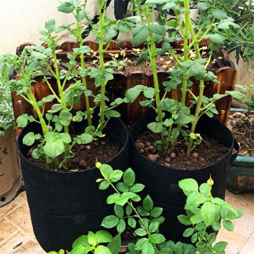 Bolsos de Cultivo de Patata Jardín Tomate Planta Bolsa Tela Saco Spuds Potes de raíz Potes Vegetal Jardín Hidratante Vertical Jardín (Color : Yellow 35x40cm(7Gal), Size : 5 Pcs)