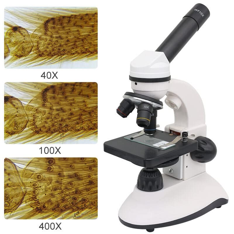 Microscope monoculaire double LED 2000x pour réussir vos analyses de tissus - 5
