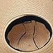 Wide Brim Straw Hat Outdoor Oversized Sun Hat Fashion Beach Hat for Women Brown