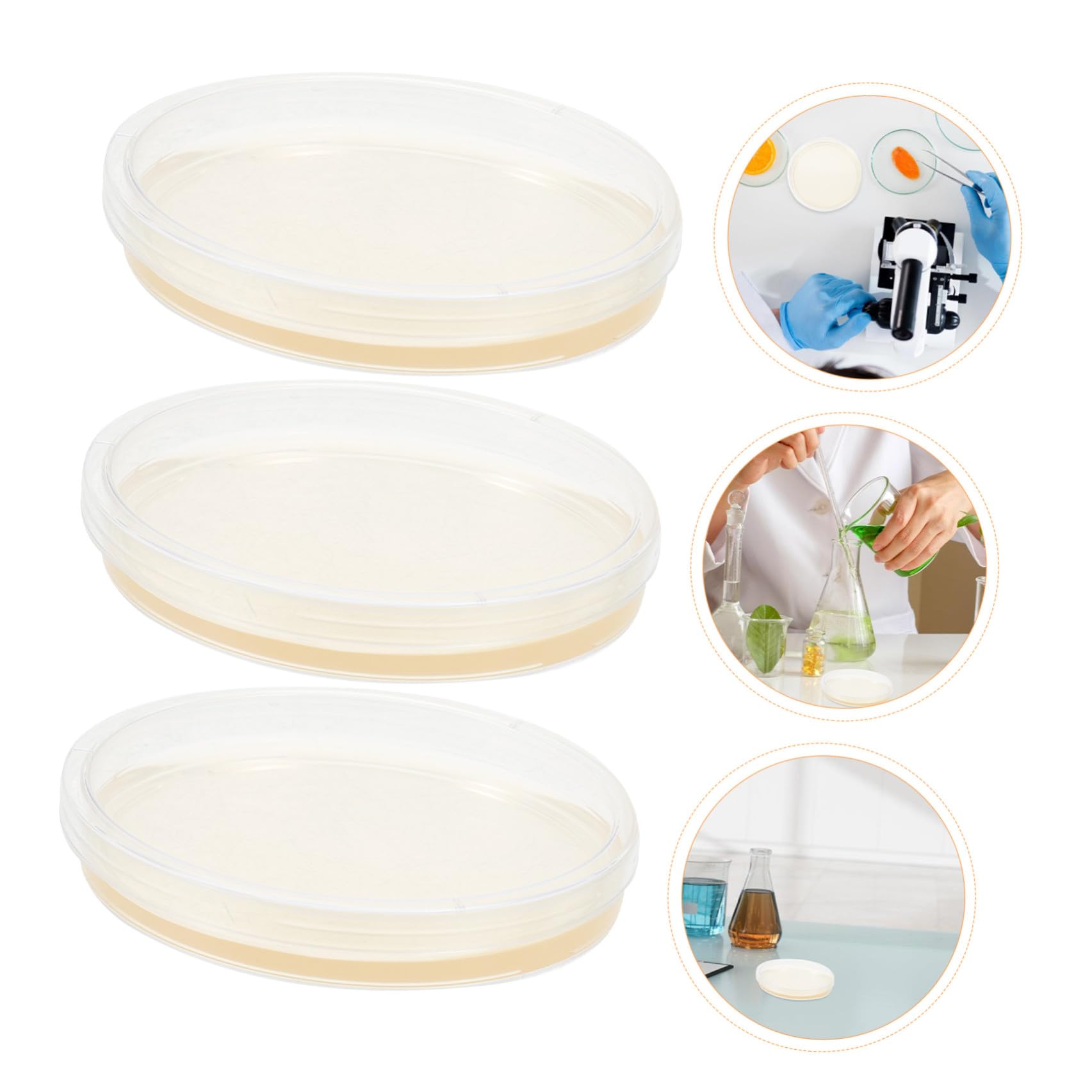 SECFOU Piastre di Petri in Plastica Agar Nutriente 20 Pezzi 9 Cm Coperchi Ermetici per Colture Stabili di Funghi e Cellule Uso Laboratoriale e Ricerca