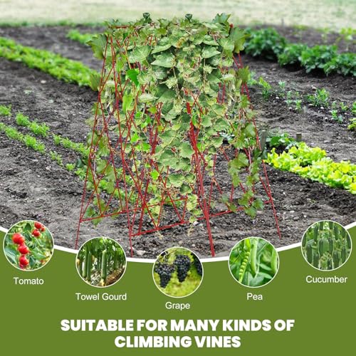 Treillis de concombre pliable gain de place pour petits potagers surélevés - 6