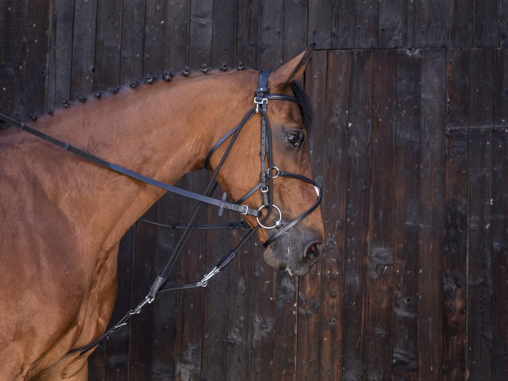 RIDING WORLD Gogue pulegge