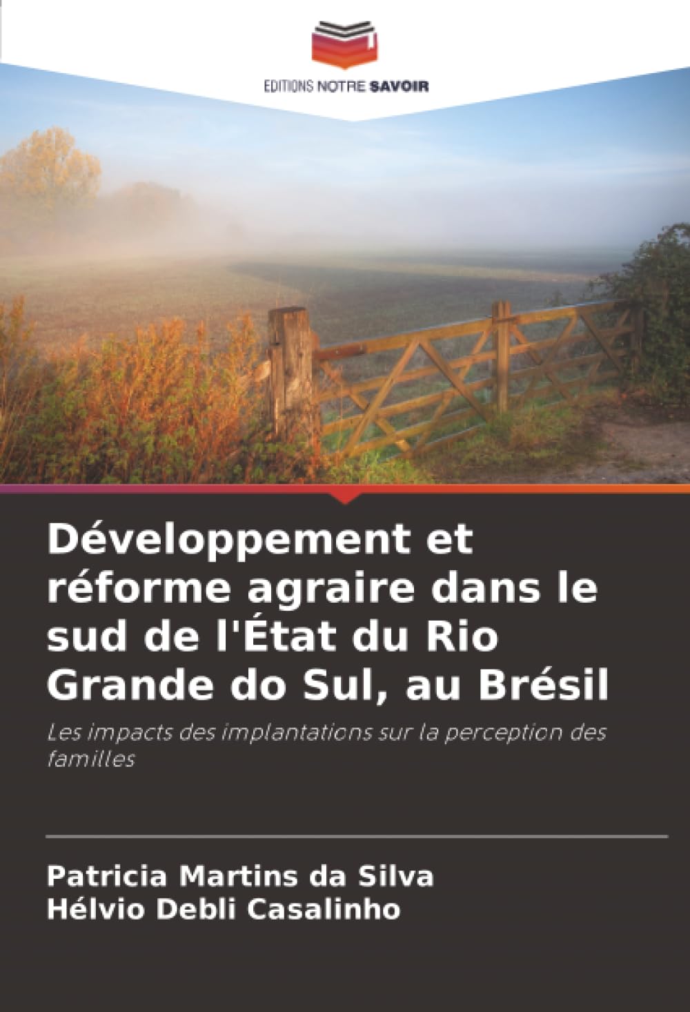 Développement et réforme agraire dans le sud de l'État du Rio Grande do Sul, au Brésil: Les impacts des implantations sur la perception des familles