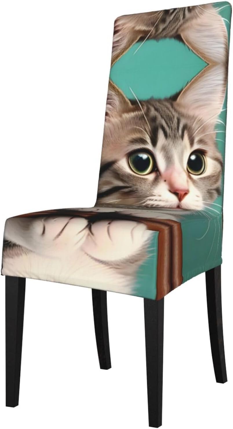 A Curious cat Prints Protection Cover for Dining Chair - Stretchable Chair Throw Covers for Dining Room, Hotel Event Party