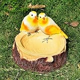 Vikarafty Birdbath and Bird Feeder Decorative Resin Love Bird (Home Decor, Garden Decor, Gift Item, Balcony)