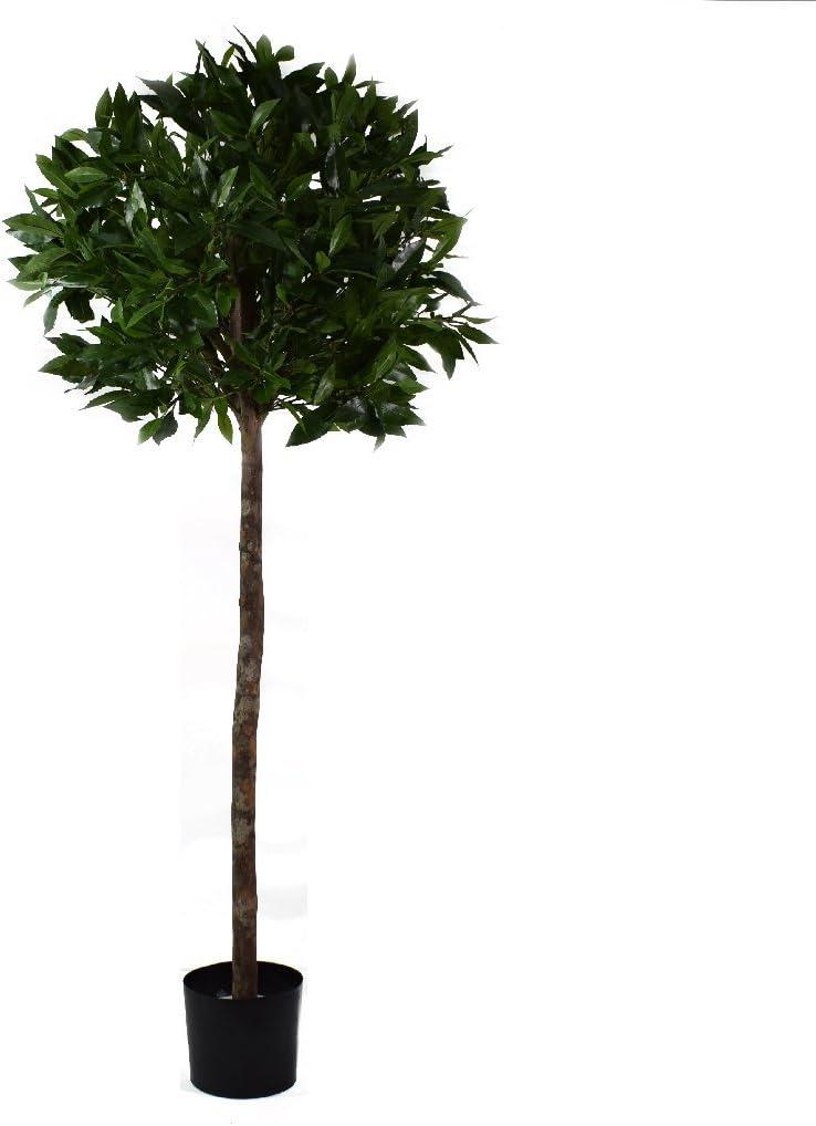 4ft Premium Quality Artificial Bay Tree with real Wooden Trunk - Artificial Tree