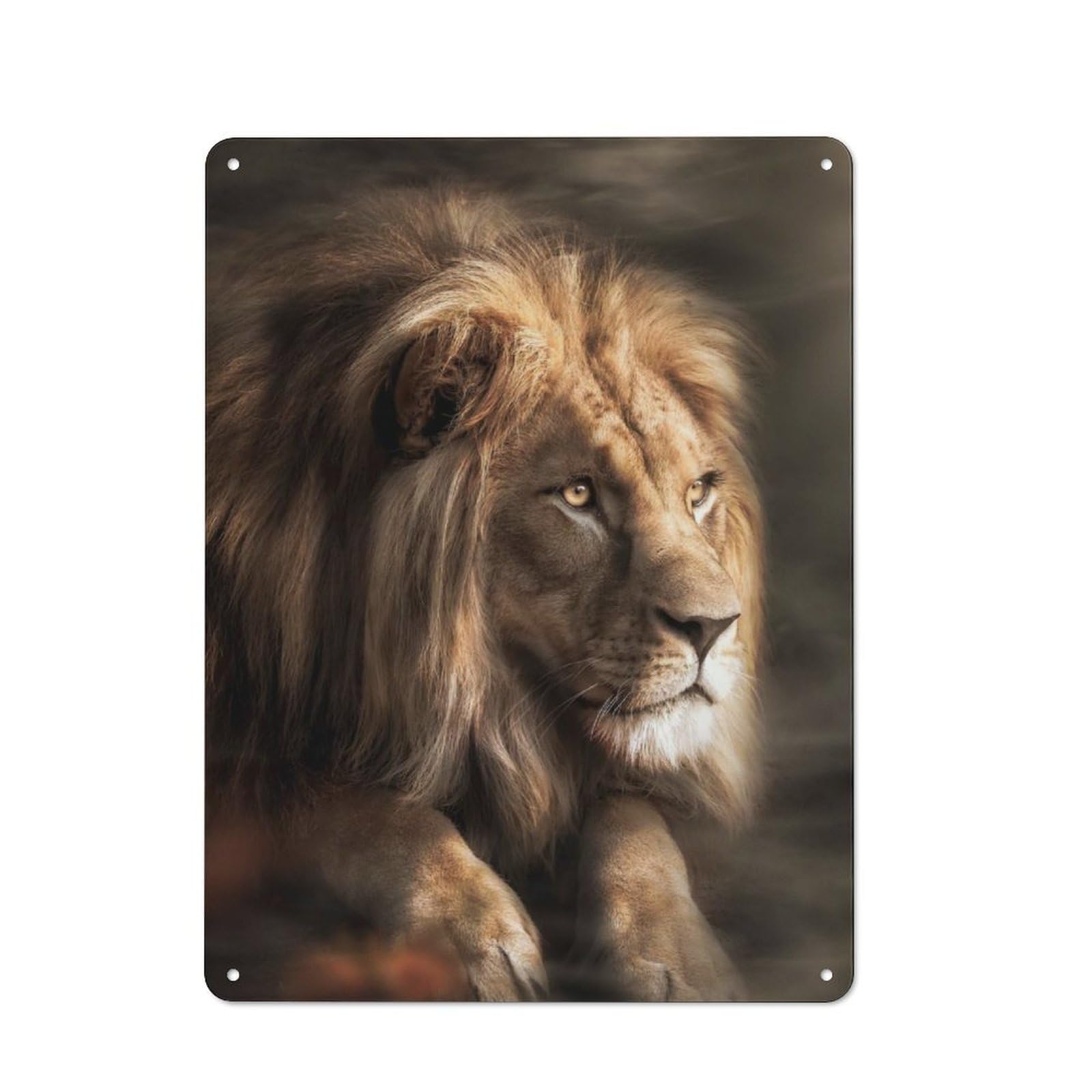 Junmoney Misty Lion 40X30cm Retro Metal Sign With For Home Office Or Studio, Suited To Wall Displays In Home Offices And Studios