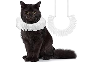 Feline Jester Attire: Elevate Halloween Festivities with Our Cat Clown Costume