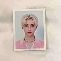 Stray Kids - StrayKids ペンミ  ID PICTURE SET リノ フィリックス StrayKids ペンミ ID PICTURE SET リノ フィリックス - メルカリ