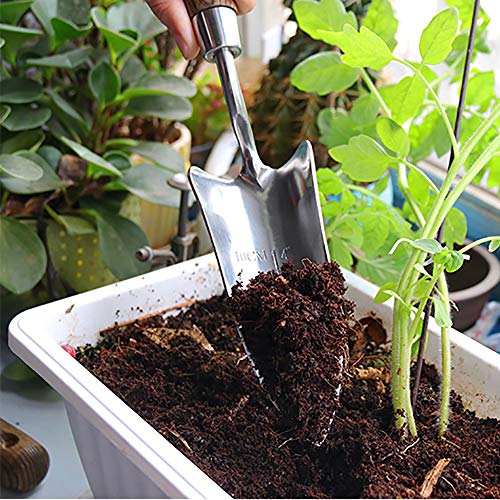 Palita de Jardín Enjoyer Acero Inoxidable Ergonómica miniatura 5