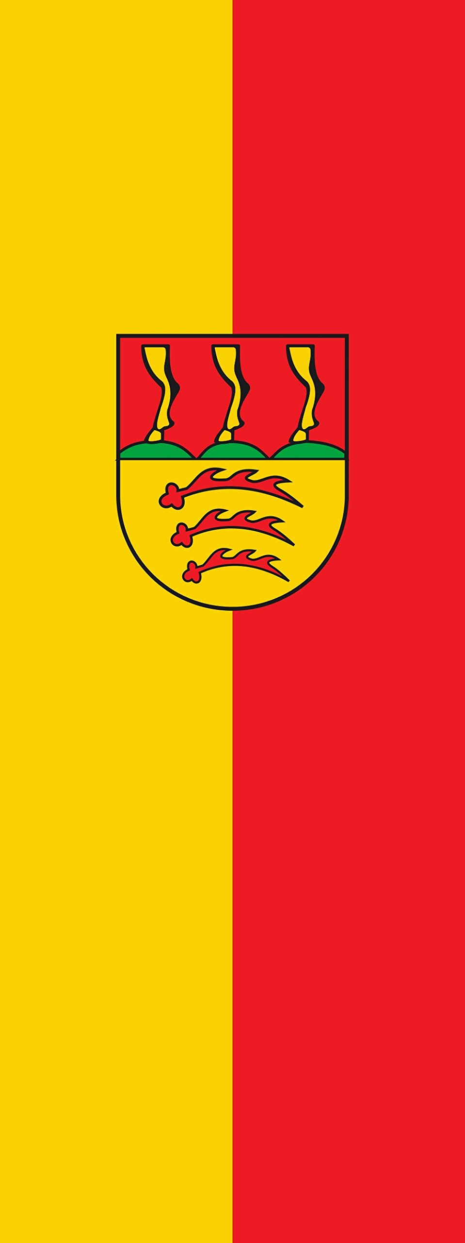 Drapeau Langenenslingen portrait de 6m² aux finitions renforcées 400x150cm