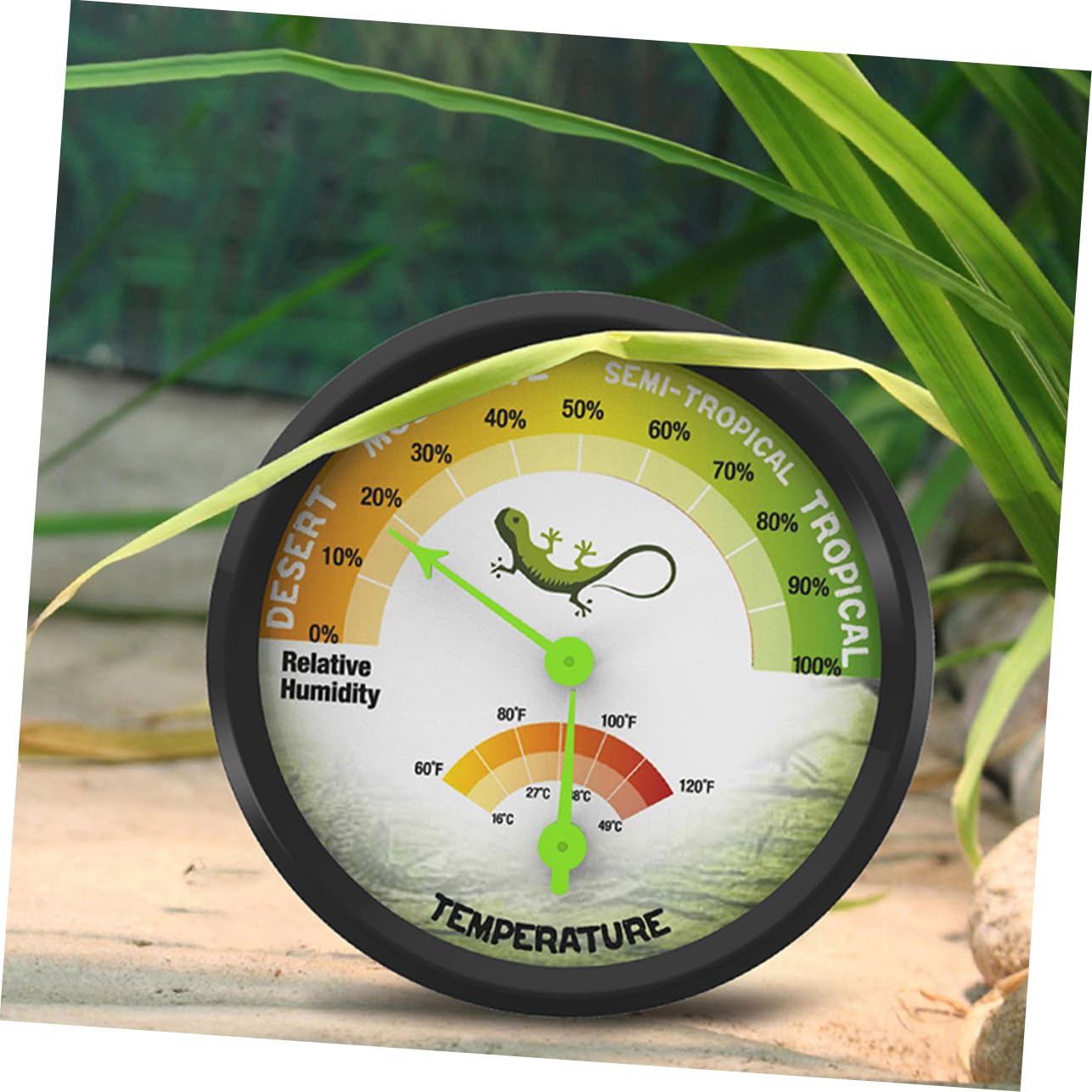 Thermomètre Et Hygromètre Double Pour Terrarium De Reptiles Appareil De Mesure De Température Et Humidité Pour Vivariums Et Couveuses Mini Thermomètre Pratique