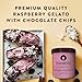 Talenti Gelato for a Delicious Frozen Treat Black Raspberry Chocolate Chip Gluten Free 1 pint
