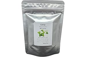 Catnip, Nature's Enchanting Herb for Feline Euphoria